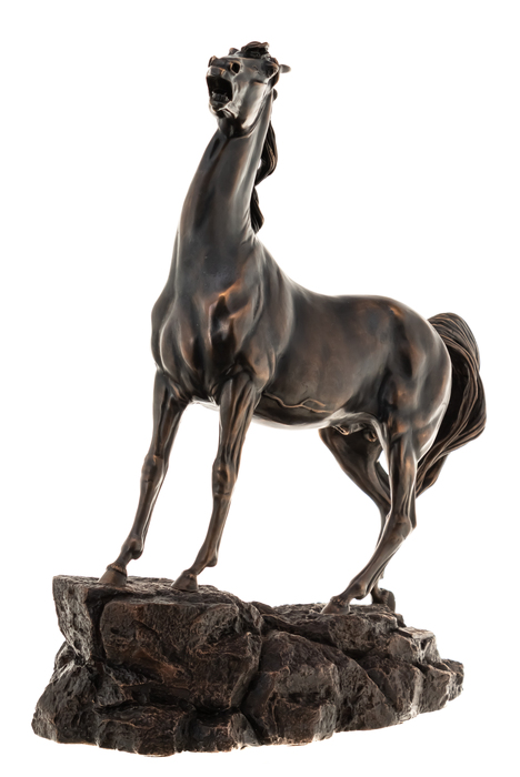 Авторская скульптура из бронзы "Лошадь на скале"